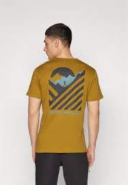 DYNAFIT 24/7 GRAPHIC T-SHIRT RELIC