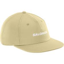 SALOMON LOGO FLAT CAP GRAY GREEN