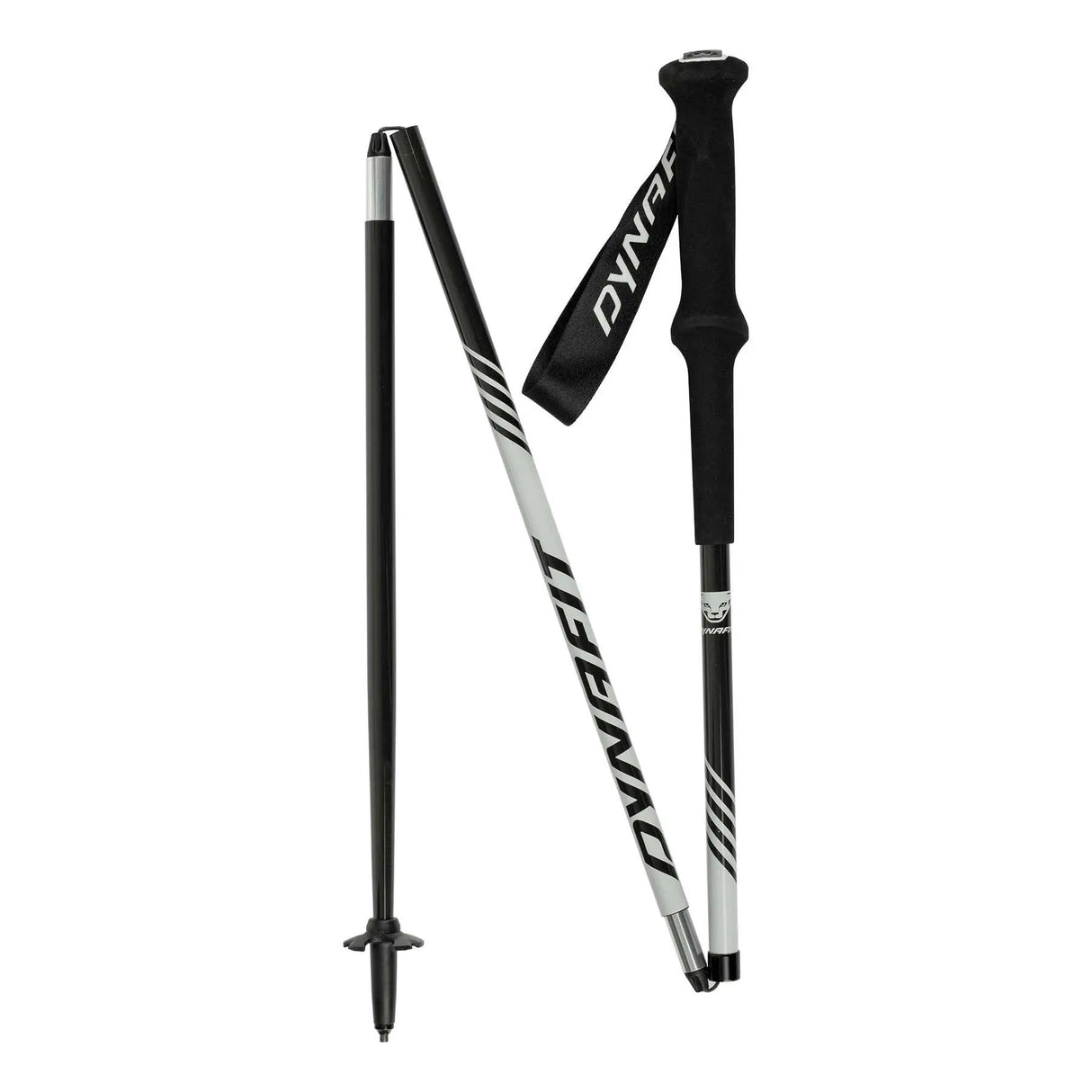 DYNAFIT ALPINE PRO POLE