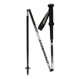 DYNAFIT ALPINE PRO POLE