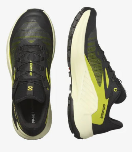 SALOMON GENESIS HOMBRE NEGRO SULFURO AMARILLO