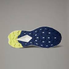 THE NORTH FACE VECTIV ENDURIS 4 HERO BLUE