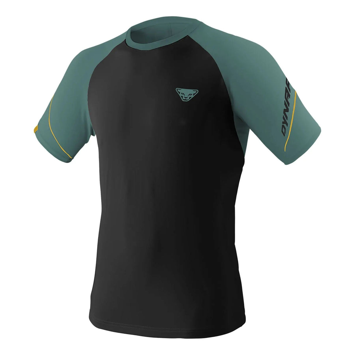 DYNAFIT ALPINE PRO M S/S TEE